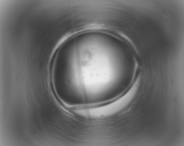 X0000064721467200602131212