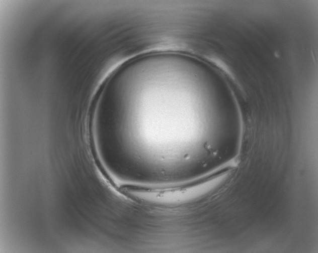 X0000064721468200602131212