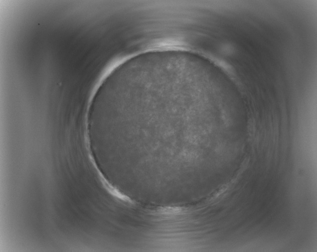 X0000064721470200602131212