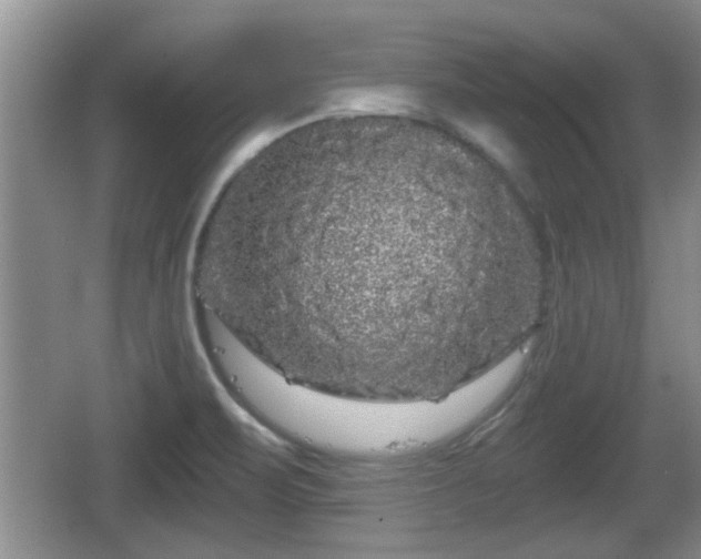 X0000064721471200602131211