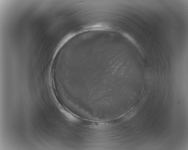 X0000064721474200602131211