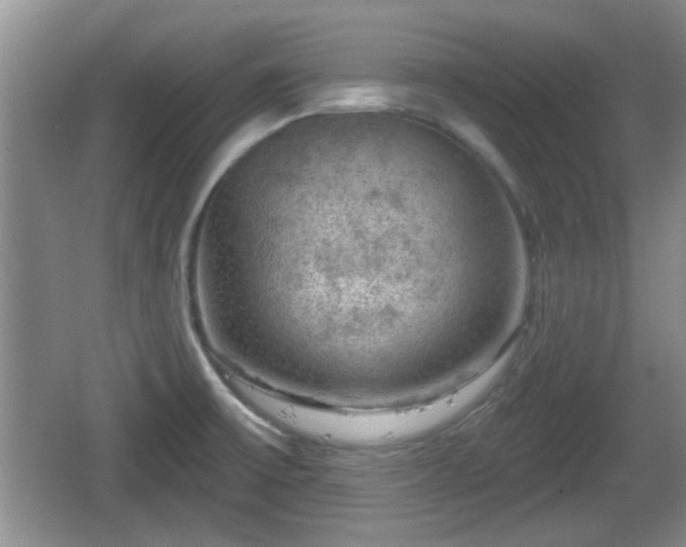 X0000064721475200602131211