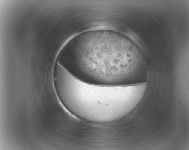 X0000064721476200602131211