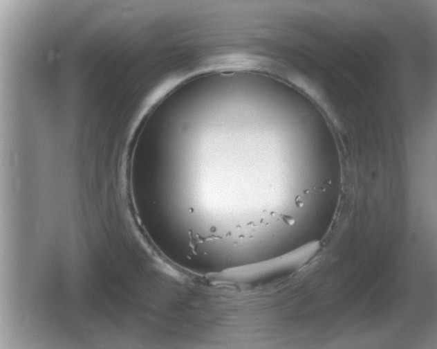 X0000064721477200602131211