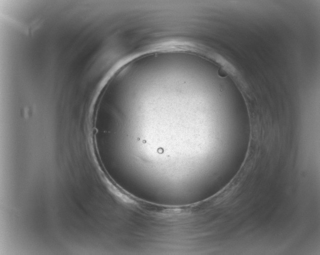 X0000064721478200602131211