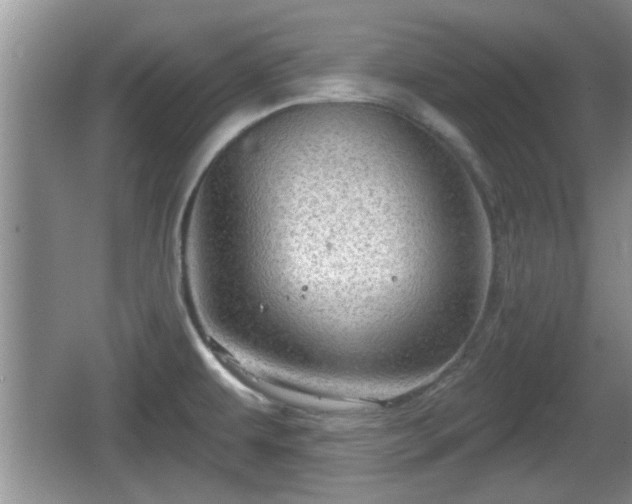 X0000064721479200602131211