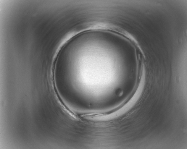 X0000064721480200602131211