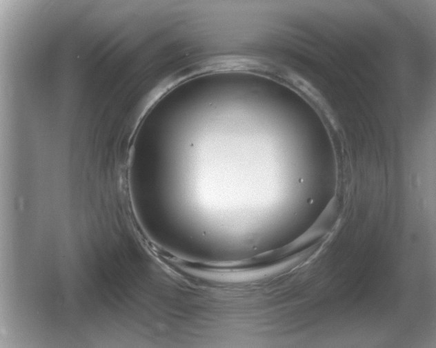 X0000064721481200602131211