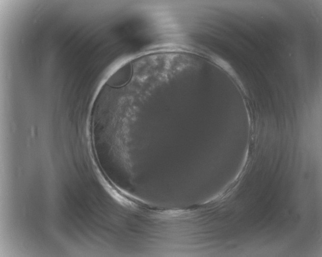 X0000064721482200602131211