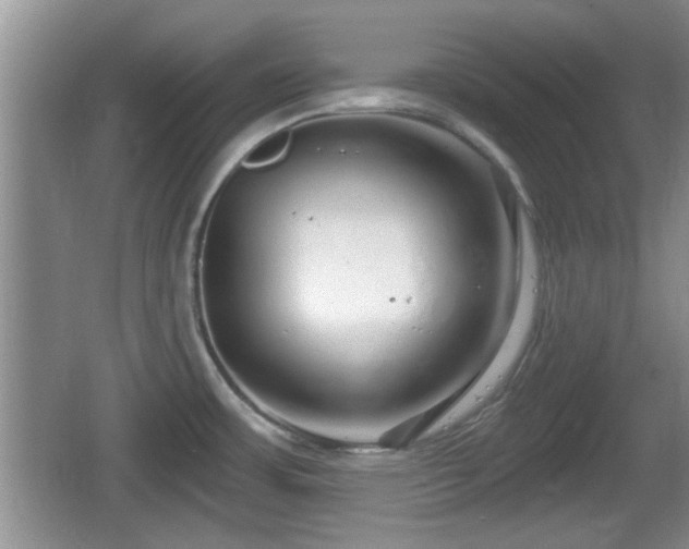 X0000064721483200602131211