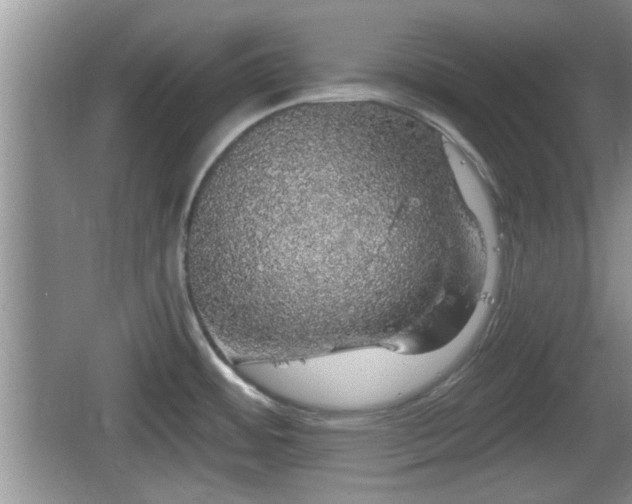 X0000064721484200602131211