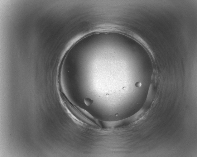 X0000064721485200602131211