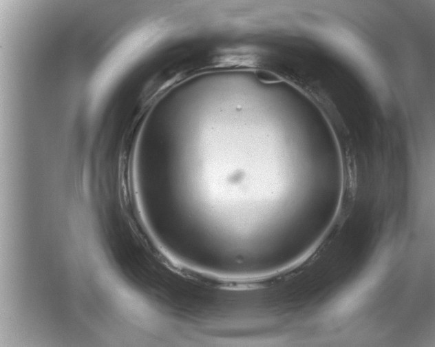 X0000064721487200602131211