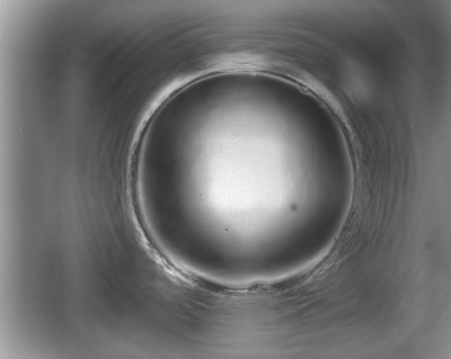 X0000064721488200602131211