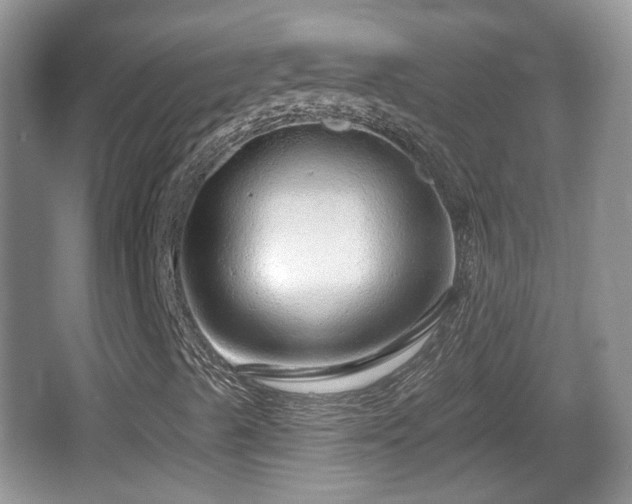 X0000064721489200602131210