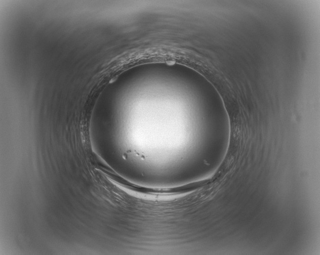 X0000064721490200602131210