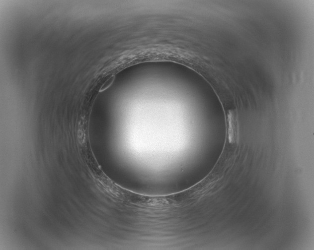 X0000064721491200602131210