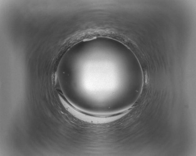 X0000064721492200602131210