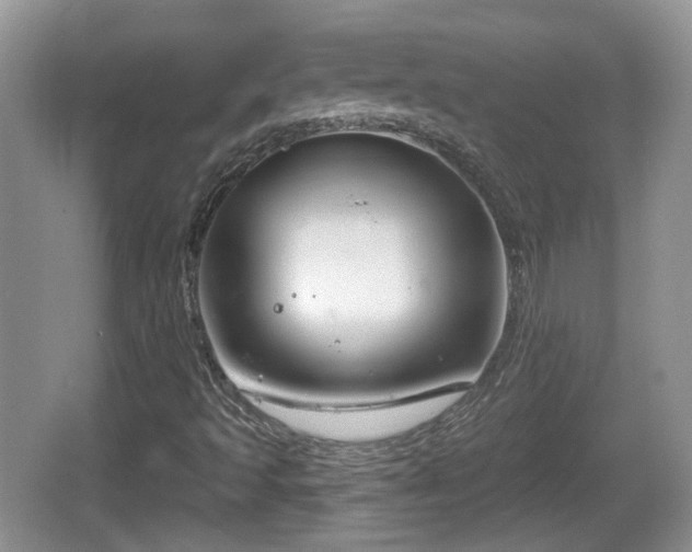 X0000064721493200602131210