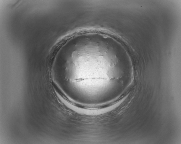 X0000064721494200602131210