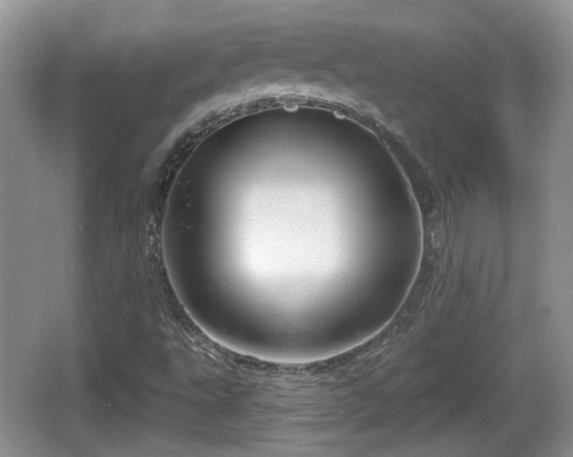 X0000064721495200602131211