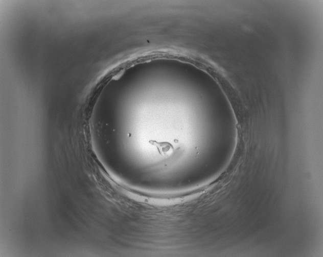 X0000064721496200602131211