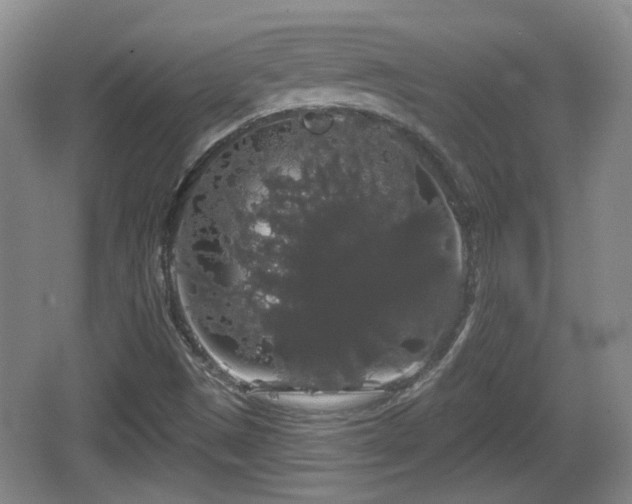 X0000064721497200602131211