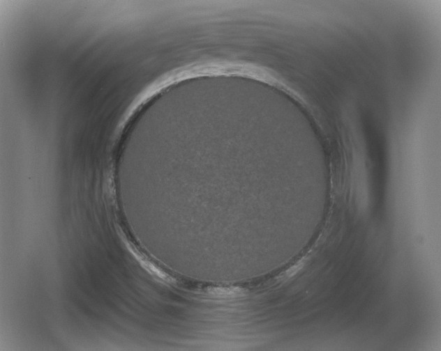 X0000064721498200602131211