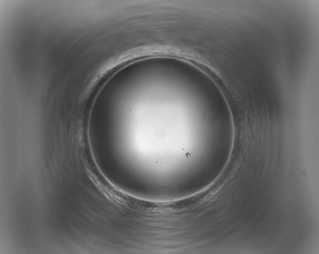 X0000064721499200602131211