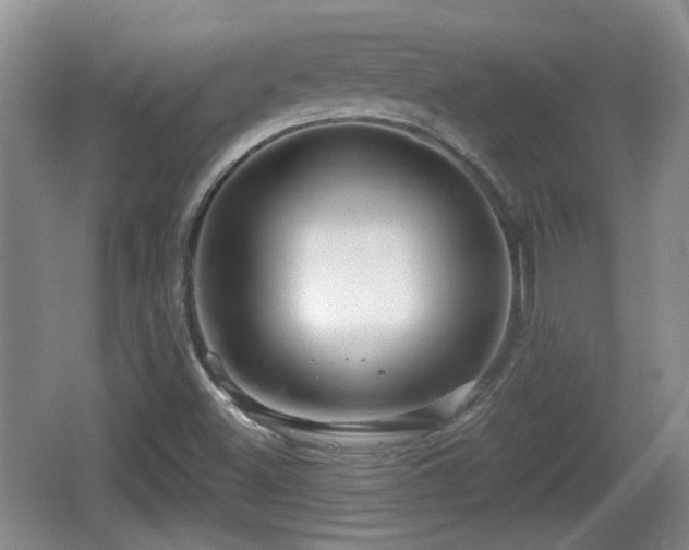 X0000064721500200602131211