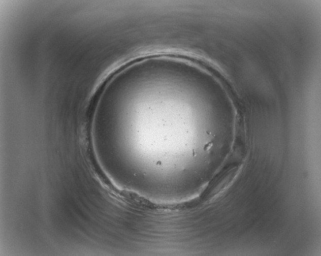 X0000064721501200602131211