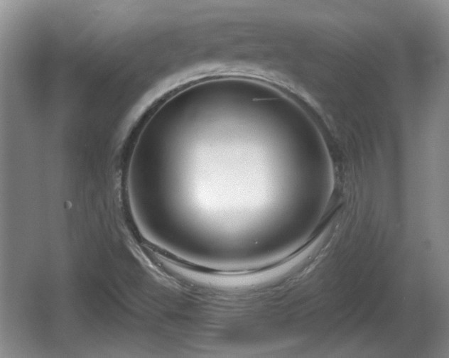 X0000064721503200602131211