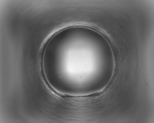 X0000064721504200602131211