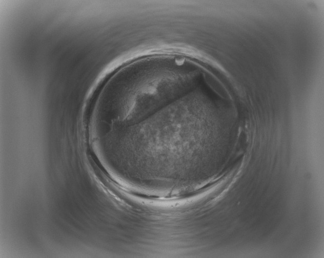 X0000064721506200602131211