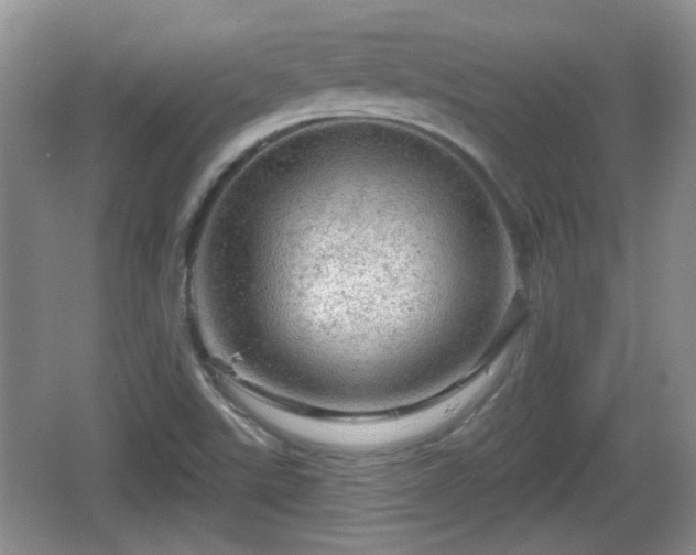 X0000064721507200602131211