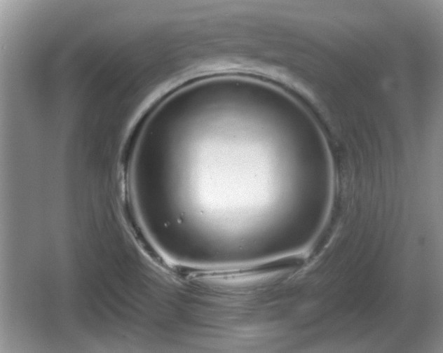 X0000064721509200602131211