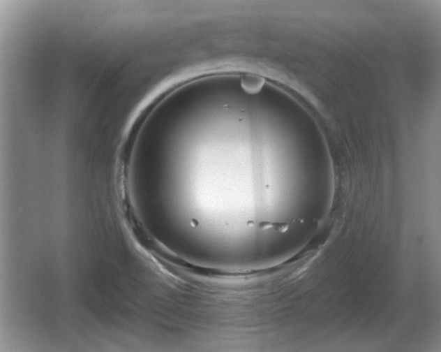 X0000064721510200602131211