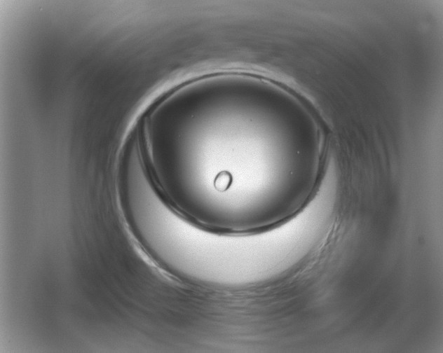 X0000064721511200602131211