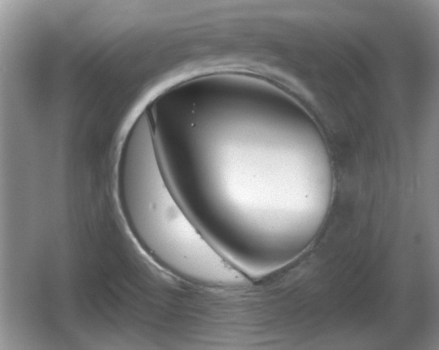 X0000064721512200602131211