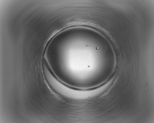 X0000064721513200602131211