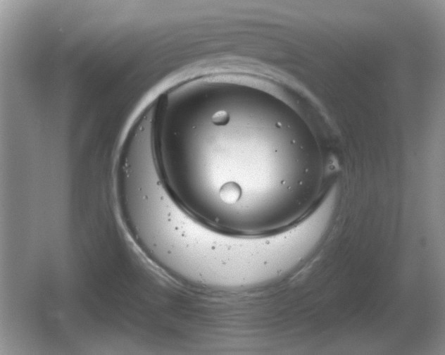 X0000064721514200602131211