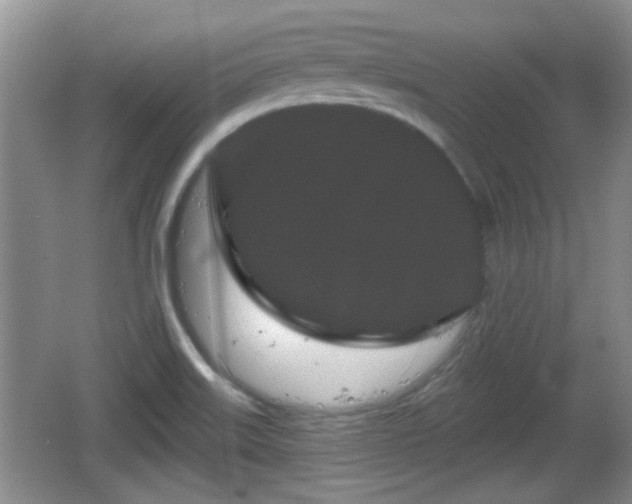 X0000064721515200602131211