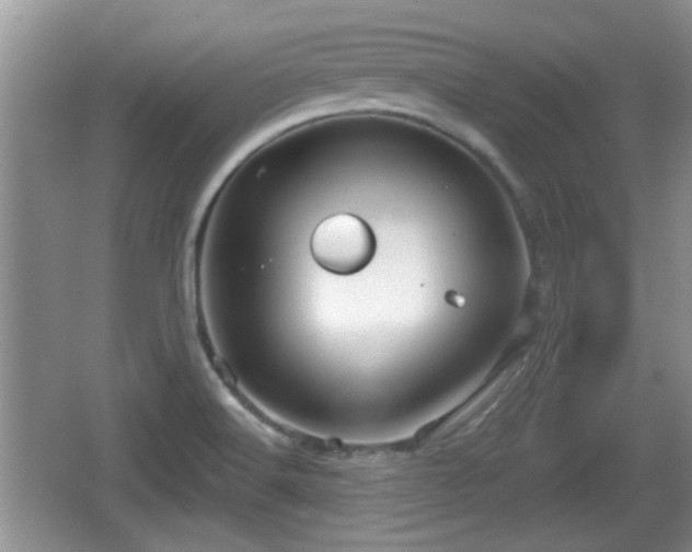 X0000064721516200602131211