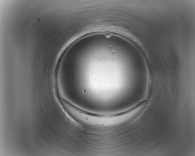 X0000064721517200602131211