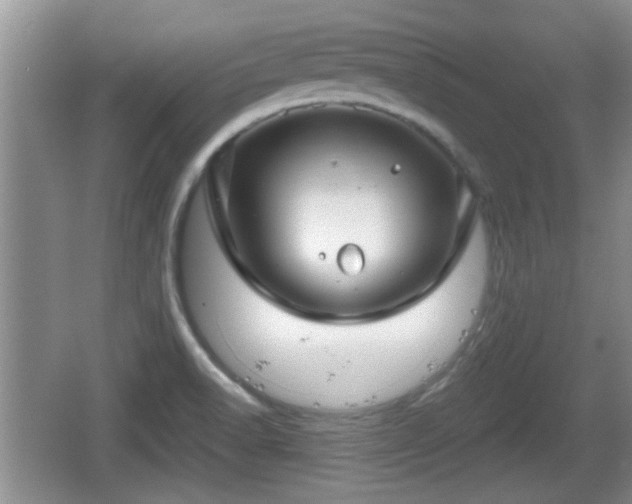 X0000064721518200602131211