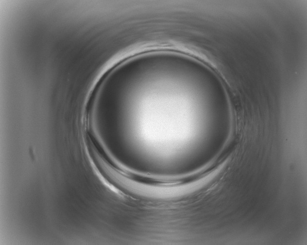 X0000064721519200602131211