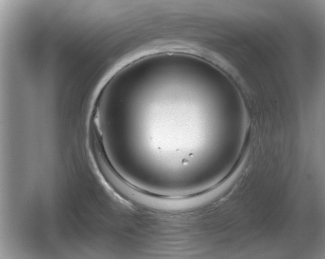 X0000064721520200602131211