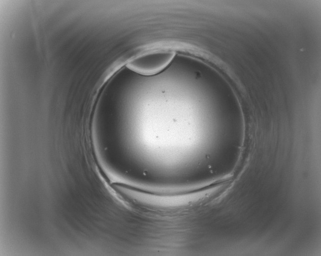 X0000064721521200602131211