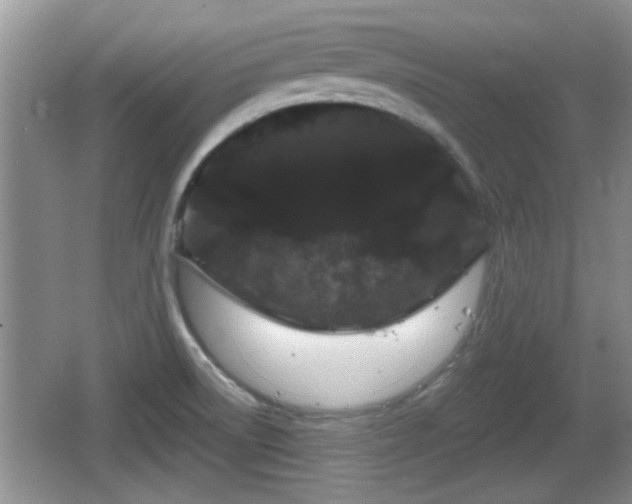 X0000064721522200602131211