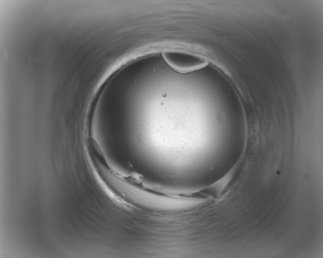 X0000064721523200602131211